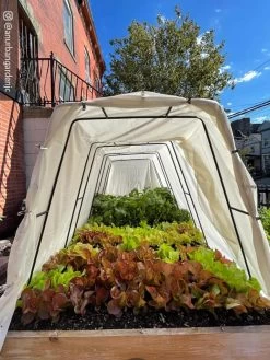 Cotton All Purpose Garden Cover -The Garden Shed Store 8612816 03CUST