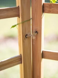 Bamboo Zig-Zag Trellis 24" X 36" -The Garden Shed Store 8613151 6483