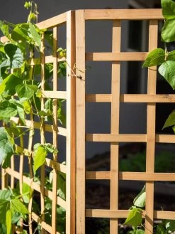 Bamboo Zig-Zag Trellis 24" X 36" -The Garden Shed Store 8613151 6491
