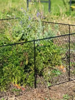 Chicken Wire Critter Fence, 16" High -The Garden Shed Store 8613249 0352