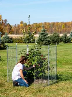 Tall Chicken Wire Critter Fence Extension Panel, Set Of 2 -The Garden Shed Store 8613260 0044