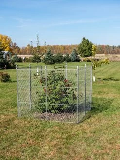 Tall Chicken Wire Critter Fence Extension Panel, Set Of 2 -The Garden Shed Store 8613262 0116