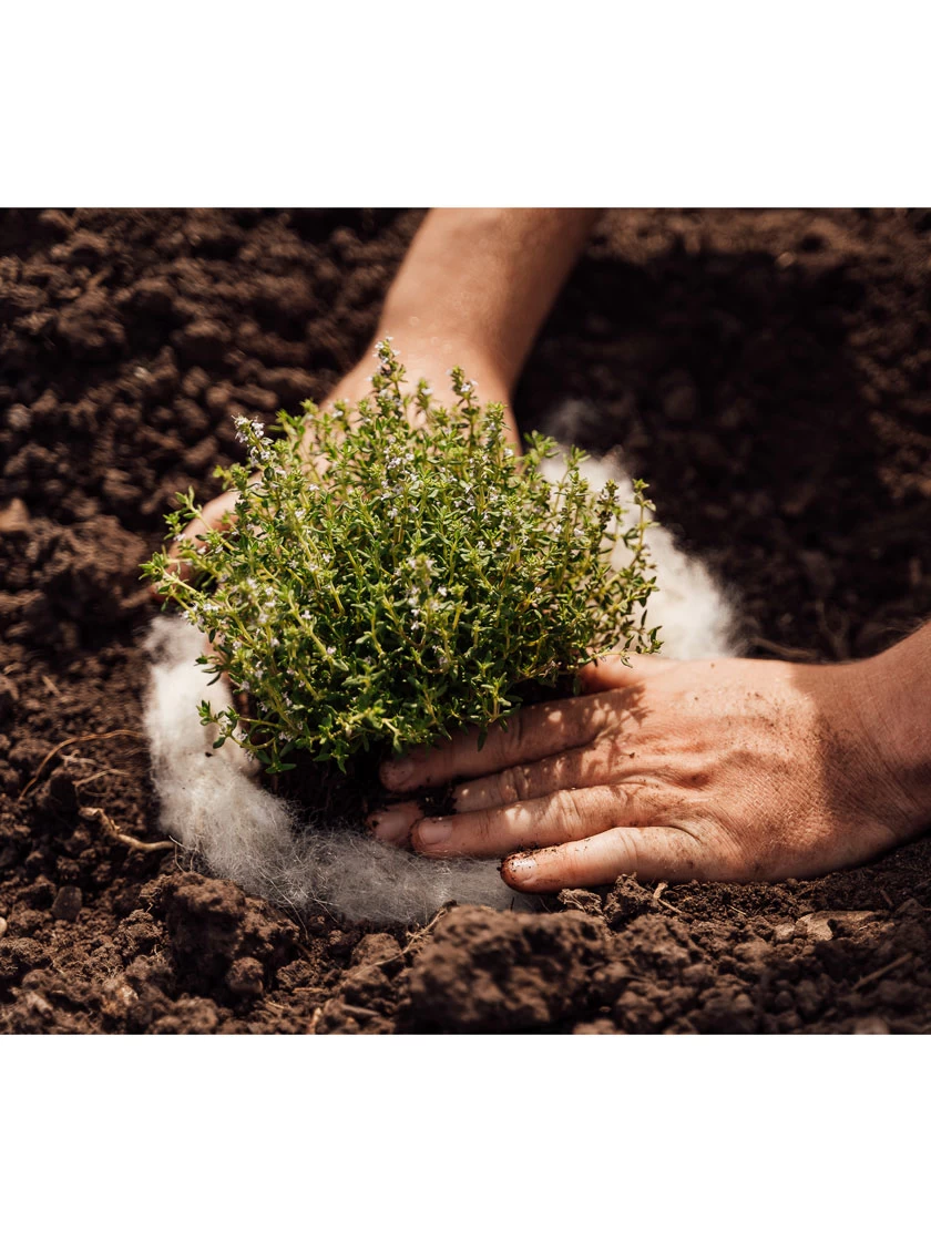 Hortiwool ®, 5 Pad Pack 3 Hortiwool ®, 5 Pad Pack - Image 3