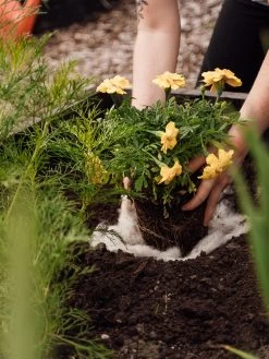 Hortiwool ®, Starter Garden Pad 9 Hortiwool ®, Starter Garden Pad -The Garden Shed Store 8613263 12v 1