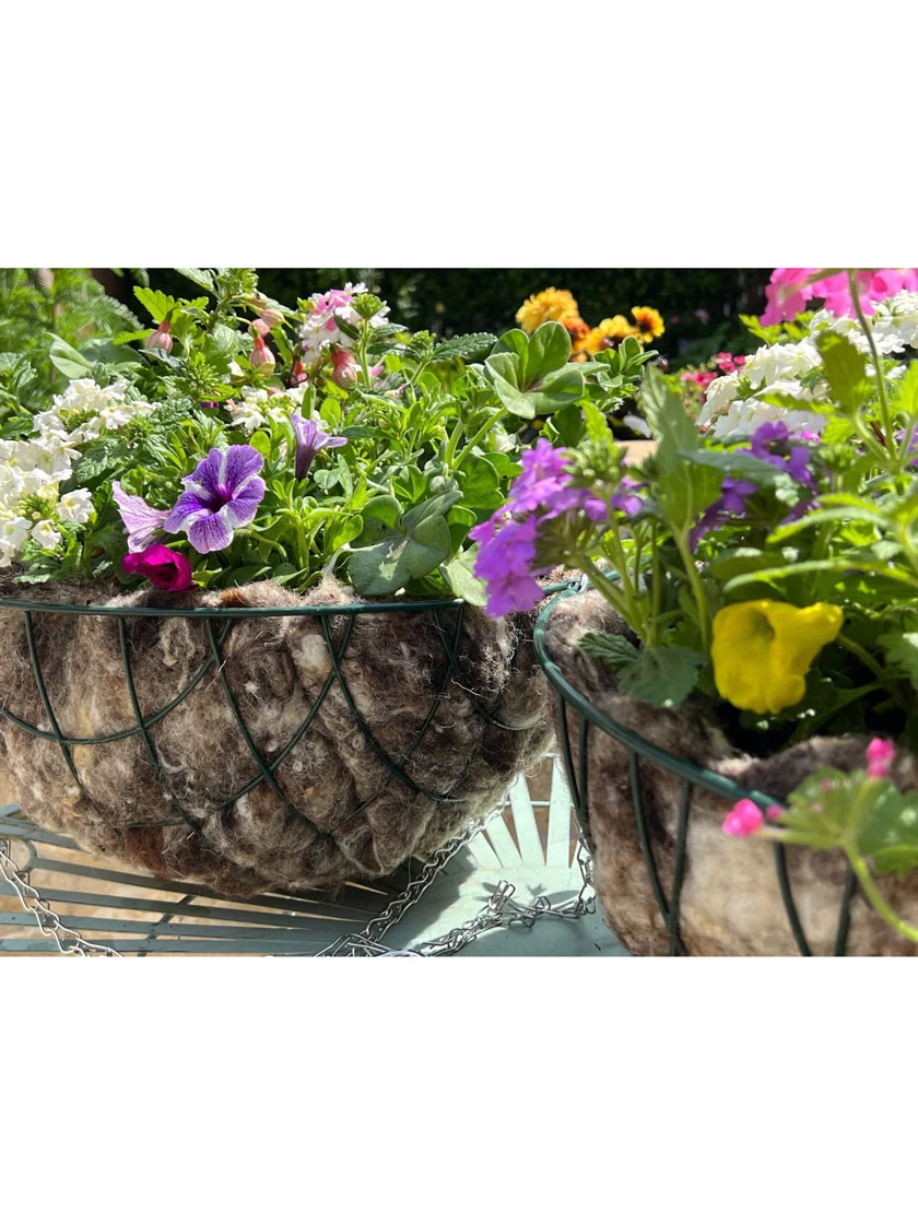 Hortiwool ® Hanging Basket Liner, Set Of 2 2 Hortiwool ® Hanging Basket Liner, Set Of 2 - Image 2