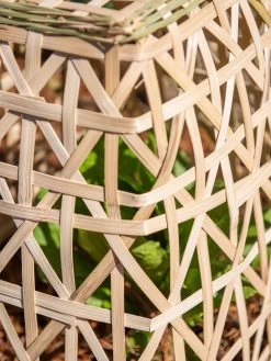 Bamboo Cloche, Set Of 2 -The Garden Shed Store 8613351 0153