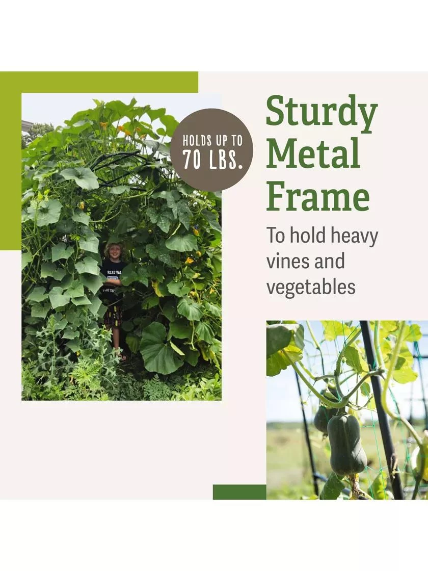 Titan Squash Tunnel 3 Titan Squash Tunnel - Image 3