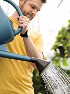 French Blue Watering Can -The Garden Shed Store ChrisAhrensSquare 0118 tif
