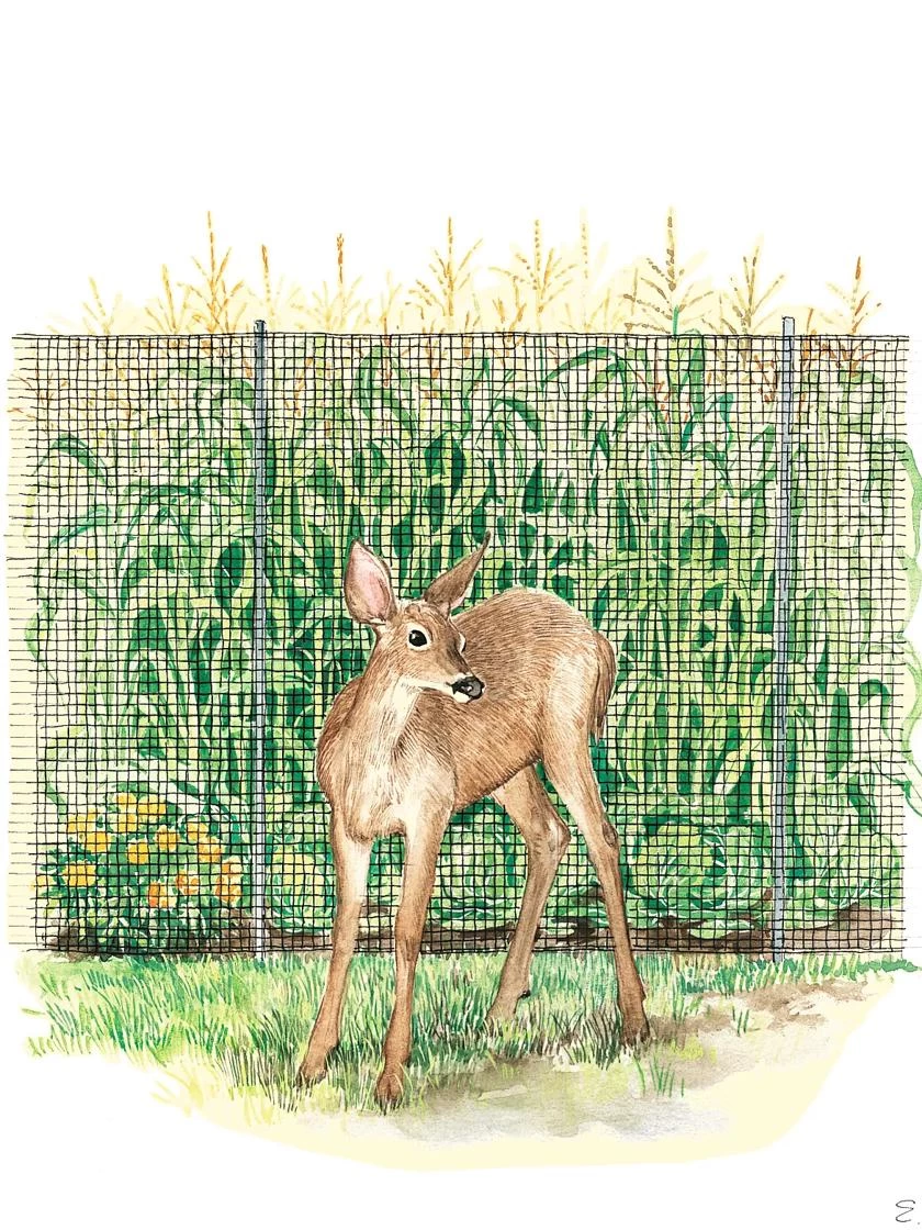 Easy-Up Lightweight Fence 1 Easy-Up Lightweight Fence