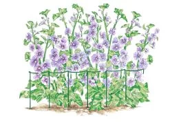 Curved Linking Stakes 7 Curved Linking Stakes -The Garden Shed Store GS35240 01S tif