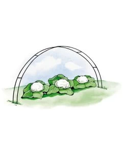 Super Hoops, Set Of 6 8 Super Hoops, Set Of 6 -The Garden Shed Store GS39423 02S 3 4