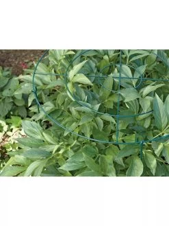 Grow Through Supports, Set Of 3 -The Garden Shed Store GS40172 01 1