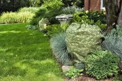 ShrubJacket Covers -The Garden Shed Store gs39166 02