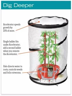 Tomato TLC Kits, Set Of 3 -The Garden Shed Store hiw 8594214 jpg